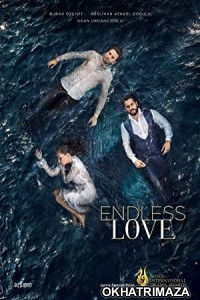 Endless Love (2015) Hindi Season 1 Complete Show